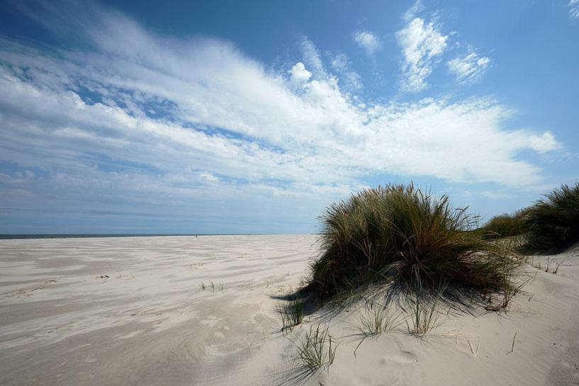 Hotel Brasserie Brakzand Schiermonnikoog Kültér fotó